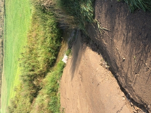 IMG 0258