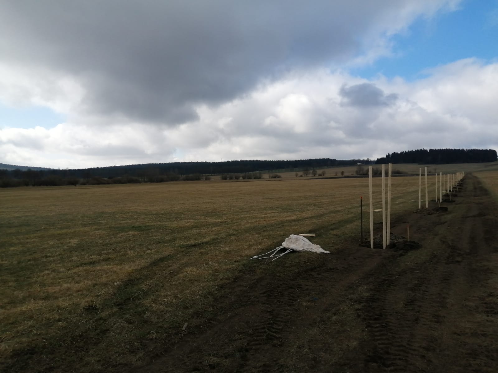 Obrázek WhatsApp 2025 03 27 v 09.50.36 db1c0d52