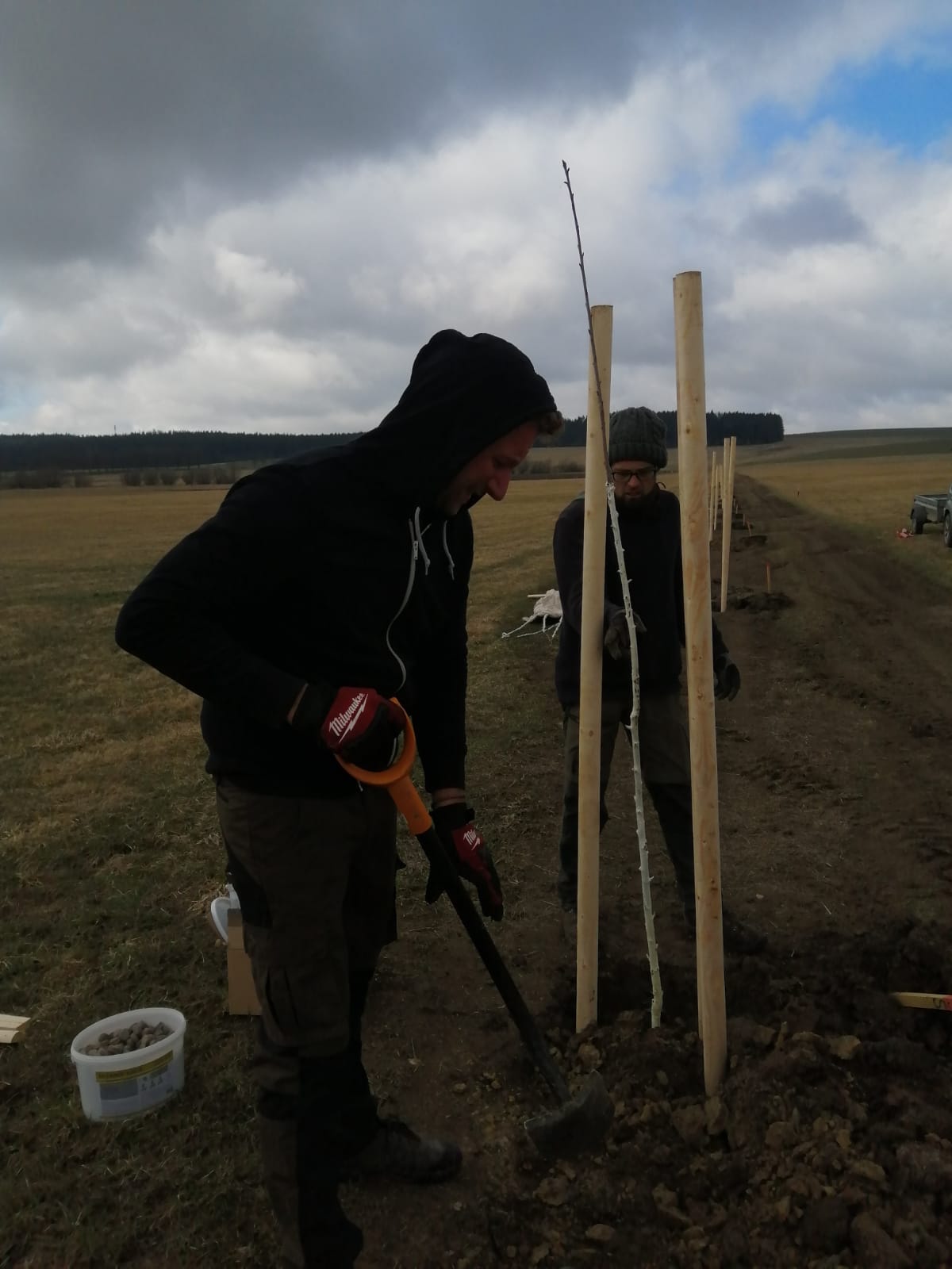 Obrázek WhatsApp 2025 03 27 v 09.50.36 db1c0d52