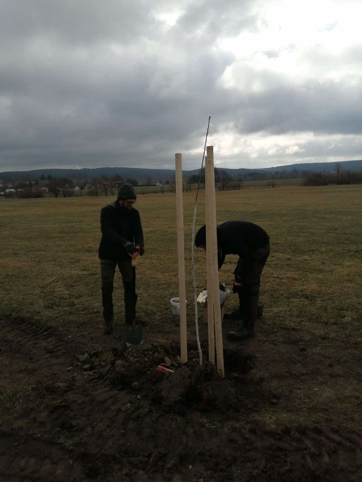 Obrázek WhatsApp 2025 03 27 v 09.50.36 db1c0d52