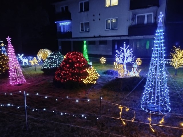 Vánoční výzdoba 2025 4